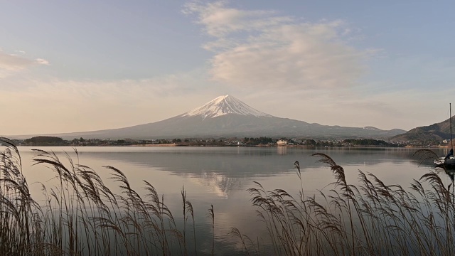 富士山日出和川口湖鸭子视频下载