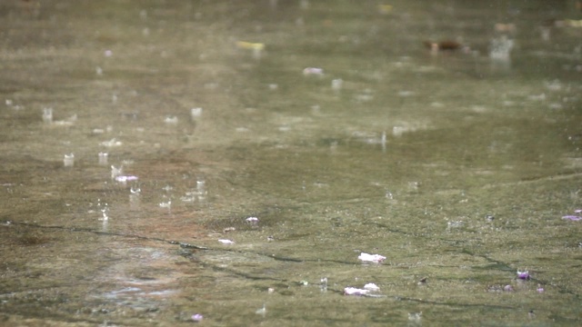 雨在路上的缓慢移动视频素材