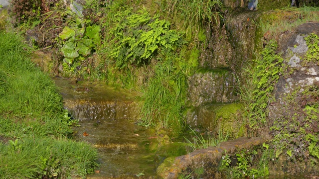 索格岛(Ile sur Sorgue)，一个法国村庄，一个正在运转的旧磨坊。轮子上覆盖着绿色的植物，在蓝天下。视频素材