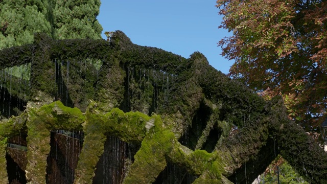 索格岛(Ile sur Sorgue)，一个法国村庄，一个正在运转的旧磨坊。轮子上覆盖着绿色的植物，在蓝天下。视频素材