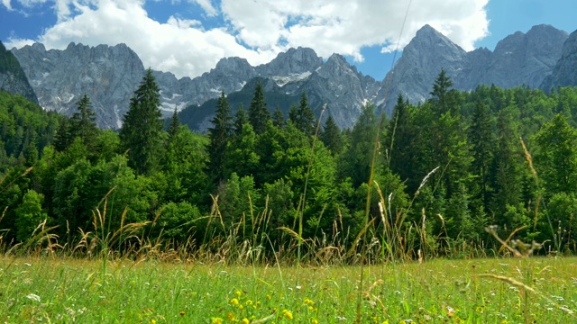 特里格拉夫国家公园，朱利安阿尔卑斯山，斯洛文尼亚。景观有绿色的草地，树木和山脉视频素材