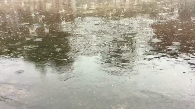 雨点落在水坑上。雨视频素材