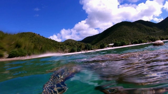 在加勒比海游到水面的海龟视频下载