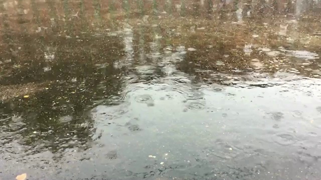 雨点落在水坑上。雨视频素材