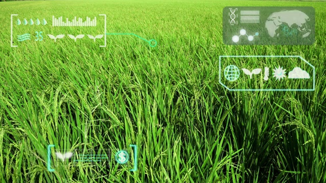 绿色水稻有机智能农场视频素材
