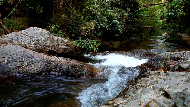 平静的山涧流水流淌。视频素材