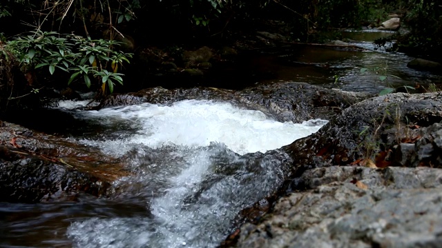 平静的山涧流水流淌。视频素材