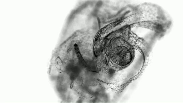 4k黑色粒子以慢动作在镜头前的一股液体中移动。3d油墨效果为黑色粒子，平流。使用光磨作为alpha通道来切割粒子。黑色的版本。6视频素材