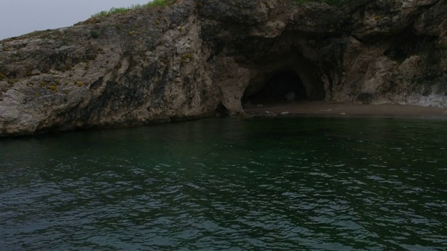 岩石上的海鸥视频素材