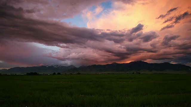 夕阳下缤纷的春雨。高清视频素材