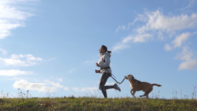 在晴朗的日子里，女人和小猎犬一起奔跑视频素材