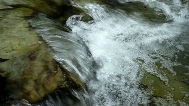 近距离的水流过潮湿的岩石视频下载