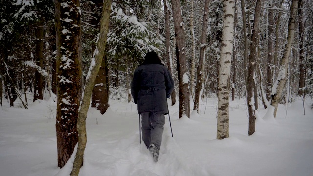 一名男子在冬天用登山杖穿越白雪覆盖的森林视频素材