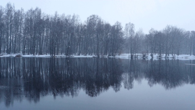 冬季降雪景观视频素材