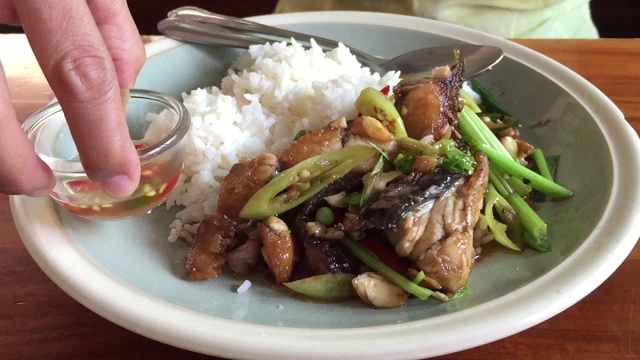 吃白米饭和炒芹菜拌鱼视频素材