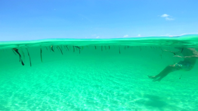 热带度假时在海上浮潜视频素材