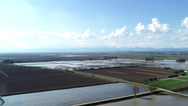 淹没用于种植水稻的田地视频素材