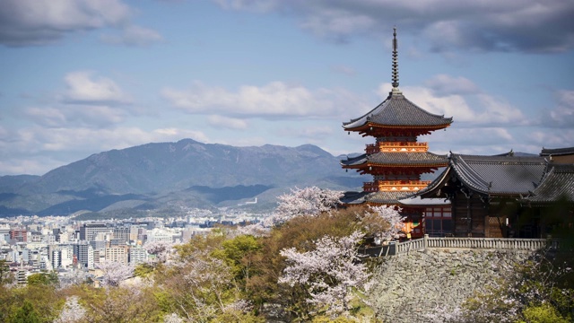 4K长曝光延时清水寺樱花，京都，日本视频素材