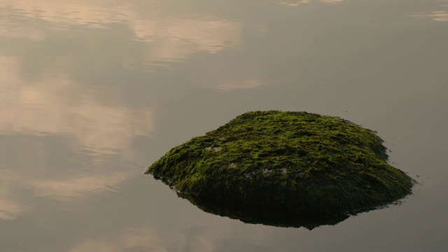 绿树环绕的流动的河流视频素材