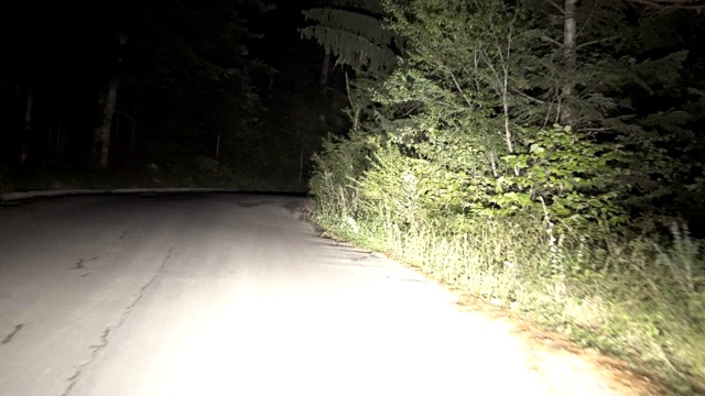 汽车在夜间行驶在山间的乡间小路上，可以看到森林中的松树视频素材