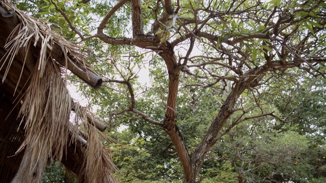 小屋的屋顶视频素材