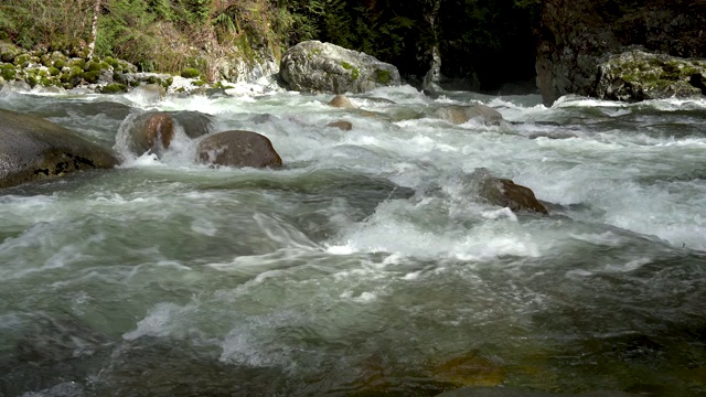 河水在阳光下顺流而下视频素材