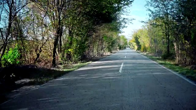 时光流逝快速运动驾驶在乡村道路与树木通道隧道视频素材