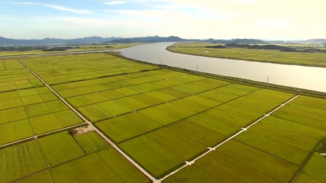 纳珠西的纳珠平原(仅次于霍南平原的第二大平原地区)视频素材