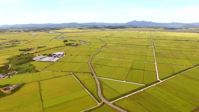 纳珠西的纳珠平原(仅次于霍南平原的第二大平原地区)视频素材