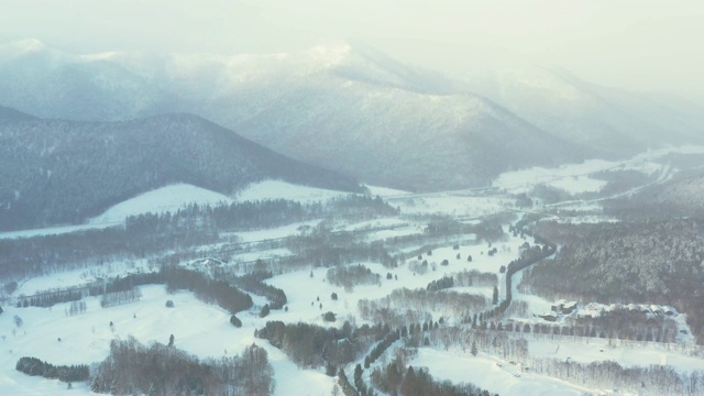 日本北海道雪林的航拍视频视频素材