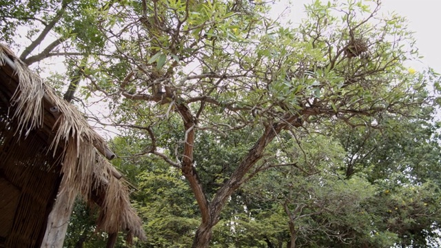 小屋的屋顶视频素材