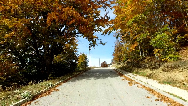 POV开车行驶在乡村道路上，旁边是秋天的彩色树木视频素材