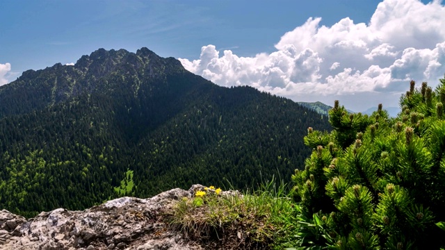 在阳光明媚的夏日，摄影用的是岩石和青松，山峰上白云密布，天空湛蓝视频素材