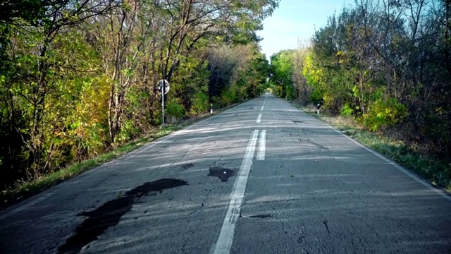 快速运动驾驶在乡村道路与树木通道隧道视频素材