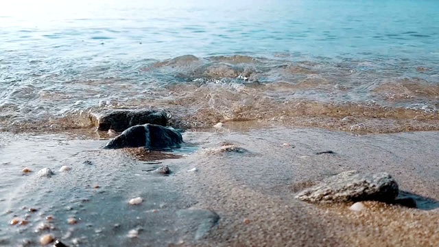 海洋之美视频素材