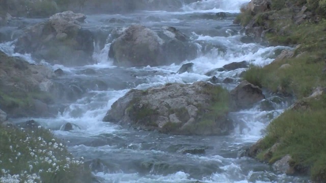 从热间歇泉上游冒热气的山涧。吃草的绵羊。视频素材