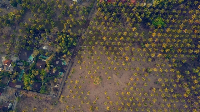 航拍:令人惊叹的热带海滩和豪华住宅视频素材