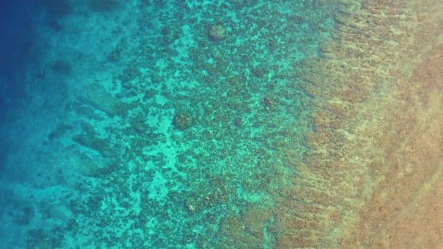 空中向前:碧蓝海水下美丽的珊瑚礁视频素材