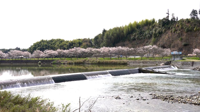 堰在日本视频素材