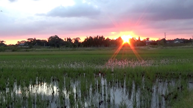 日落在日本视频素材