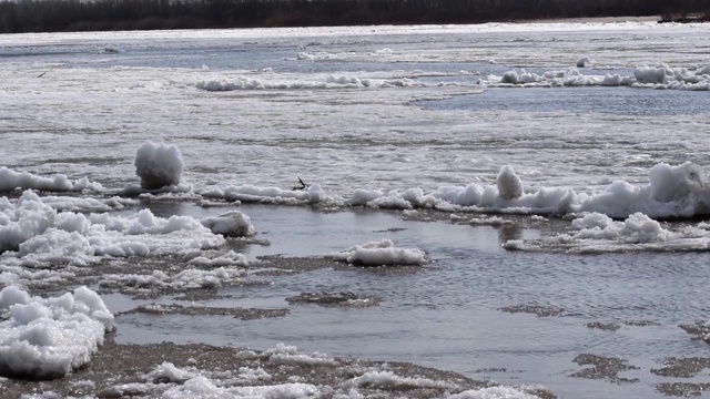 河上浮冰视频下载