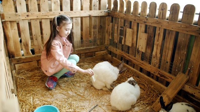 小女孩在宠物动物园里和兔子在鸟舍里。视频素材