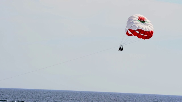 一对夫妇和海鸥一起在海面上高空滑翔视频素材