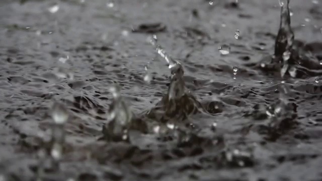 热带国家下大雨。视频素材