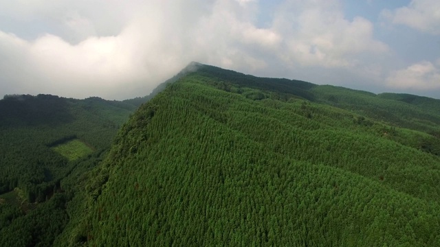 航空摄影的风景与树木和山脉在中国四川视频素材