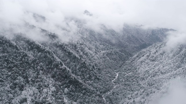 高空鸟瞰冬日冰雪覆盖的山谷，4k视频素材