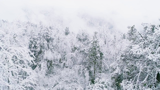 一架无人机在四川被积雪覆盖的大雾山上飞行视频素材