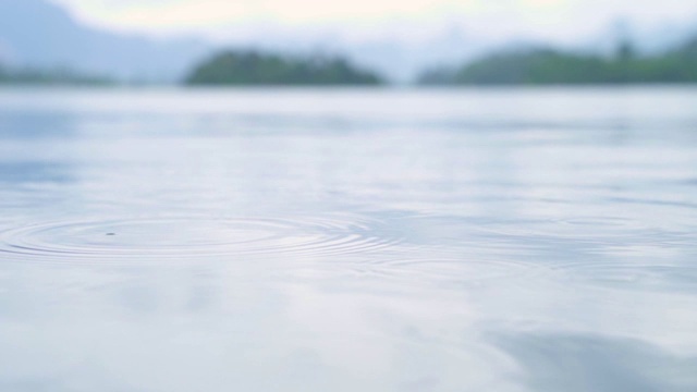 下雨时自然的水波视频下载