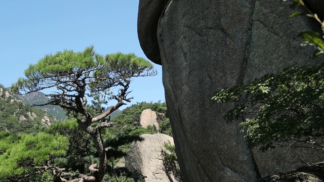 在伽亚山(国家公园)的巨石和树的观点，Hapcheon视频素材