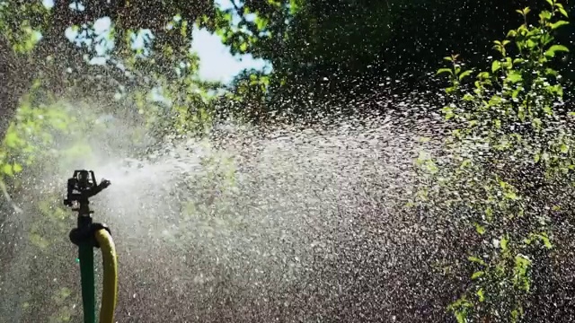 用于灌溉植物的喷淋软管视频素材